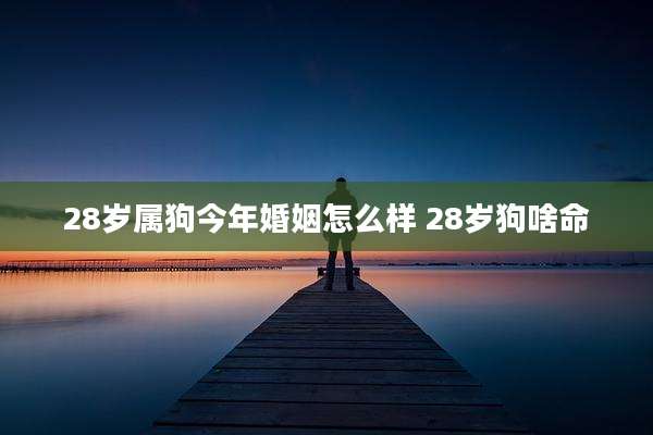 28岁属狗今年婚姻怎么样 28岁狗啥命