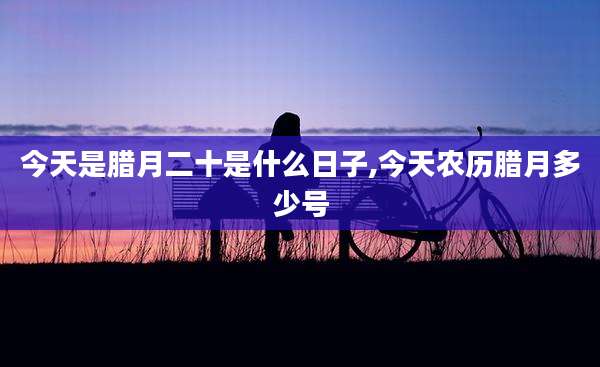 今天是腊月二十是什么日子,今天农历腊月多少号