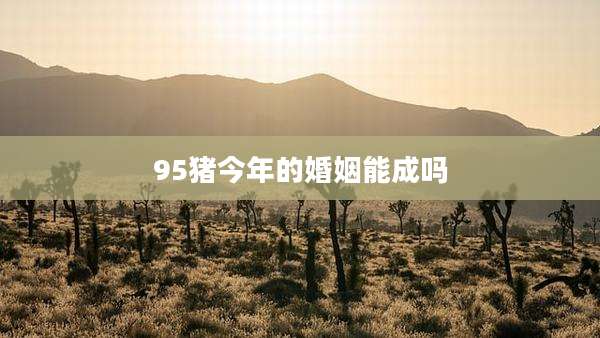95猪今年的婚姻能成吗