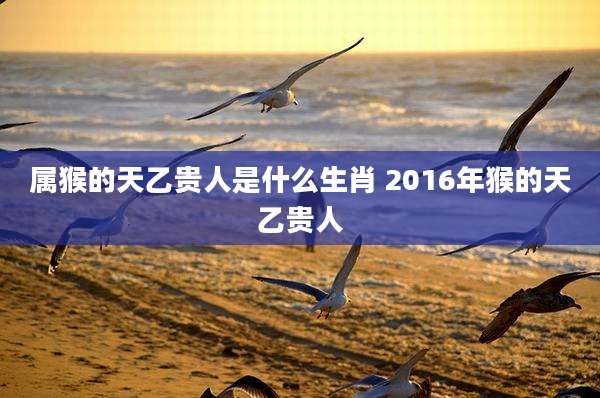 属猴的天乙贵人是什么生肖 2016年猴的天乙贵人
