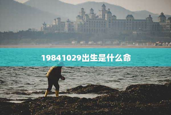 19841029出生是什么命