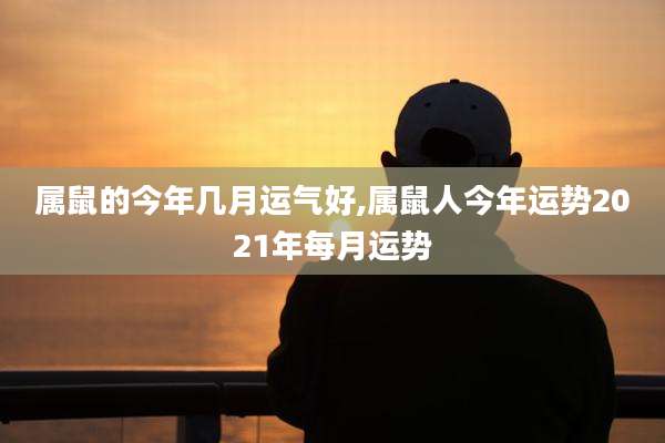 属鼠的今年几月运气好,属鼠人今年运势2021年每月运势