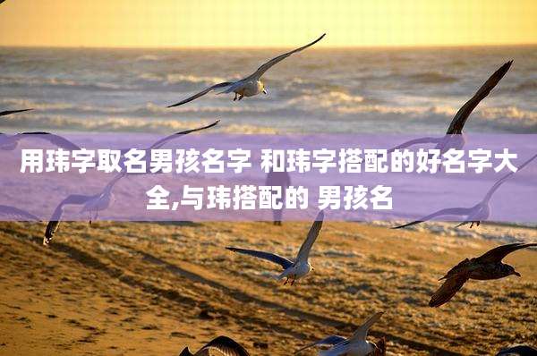用玮字取名男孩名字 和玮字搭配的好名字大全,与玮搭配的 男孩名