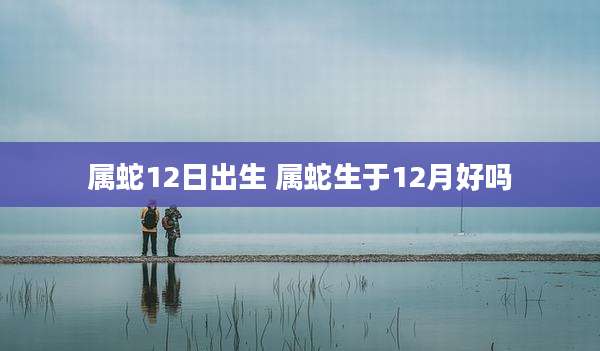 属蛇12日出生 属蛇生于12月好吗