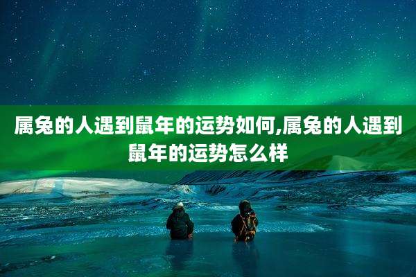 属兔的人遇到鼠年的运势如何,属兔的人遇到鼠年的运势怎么样