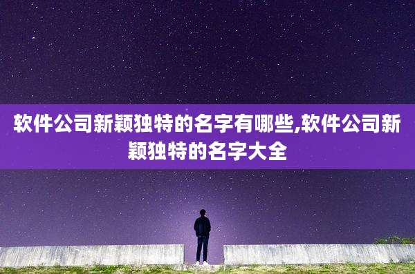 软件公司新颖独特的名字有哪些,软件公司新颖独特的名字大全