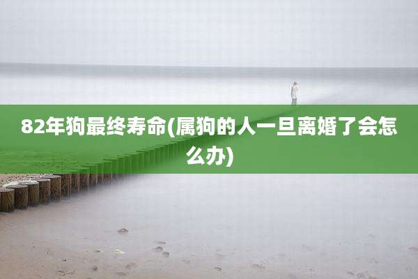 82年狗最终寿命(属狗的人一旦离婚了会怎么办)