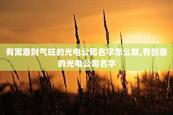 有寓意财气旺的光电公司名字怎么取,有创意的光电公司名字