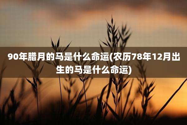 90年腊月的马是什么命运(农历78年12月出生的马是什么命运)