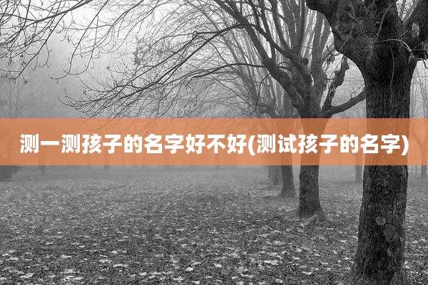 测一测孩子的名字好不好(测试孩子的名字)