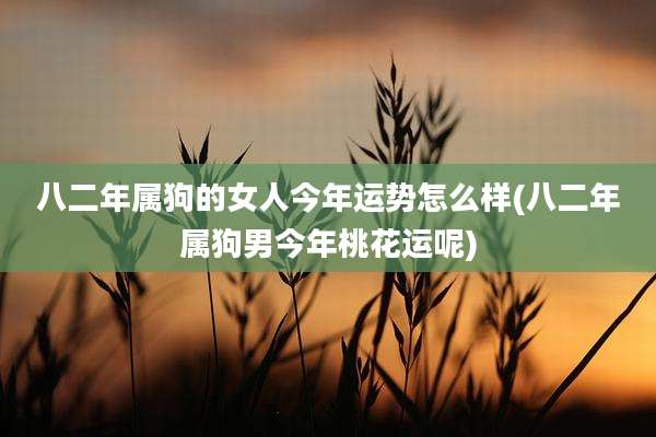 八二年属狗的女人今年运势怎么样(八二年属狗男今年桃花运呢)