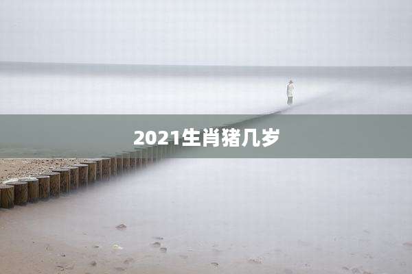 2021生肖猪几岁