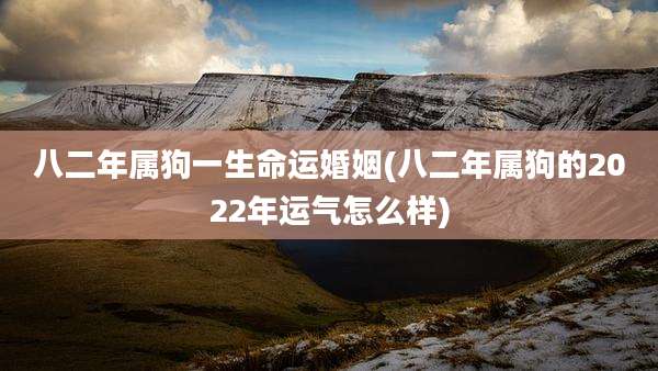 八二年属狗一生命运婚姻(八二年属狗的2022年运气怎么样)