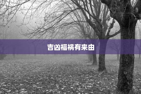 吉凶福祸有来由