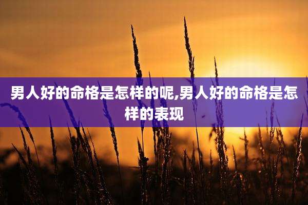 男人好的命格是怎样的呢,男人好的命格是怎样的表现