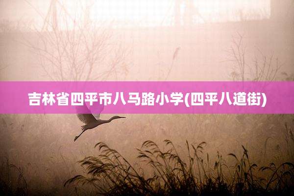 吉林省四平市八马路小学(四平八道街)