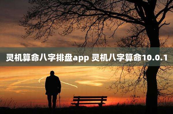 灵机算命八字排盘app 灵机八字算命10.0.1