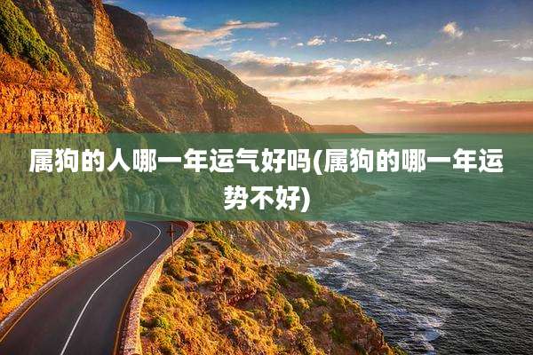 属狗的人哪一年运气好吗(属狗的哪一年运势不好)