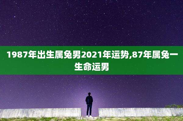 1987年出生属兔男2021年运势,87年属兔一生命运男