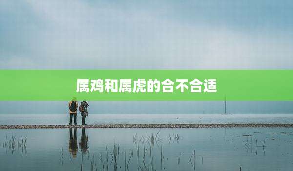 属鸡和属虎的合不合适