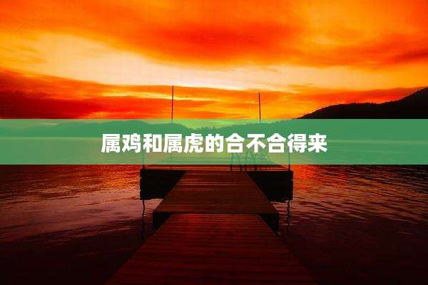 属鸡和属虎的合不合得来