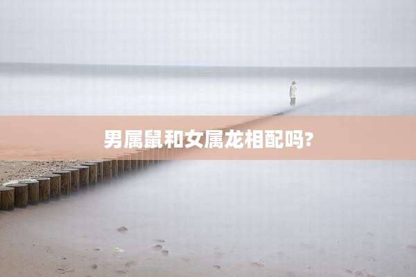 男属鼠和女属龙相配吗?