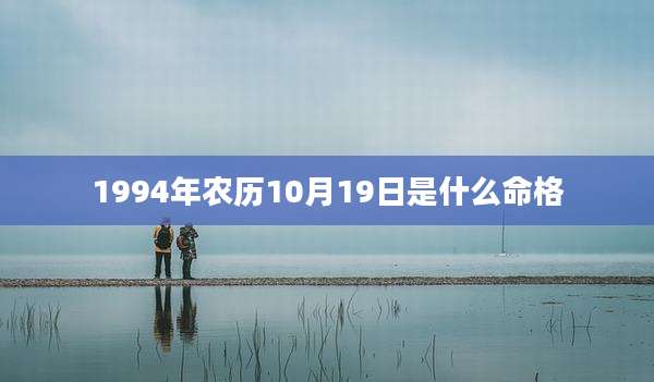 1994年农历10月19日是什么命格