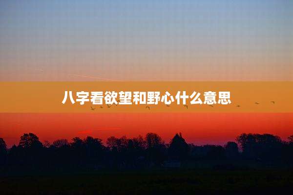 八字看欲望和野心什么意思