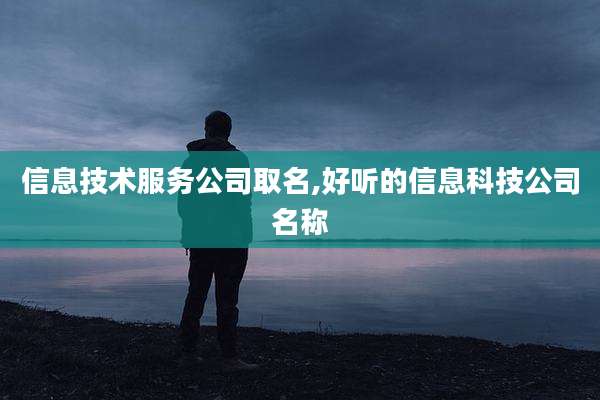 信息技术服务公司取名,好听的信息科技公司名称