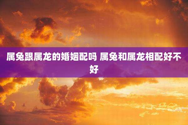属兔跟属龙的婚姻配吗 属兔和属龙相配好不好