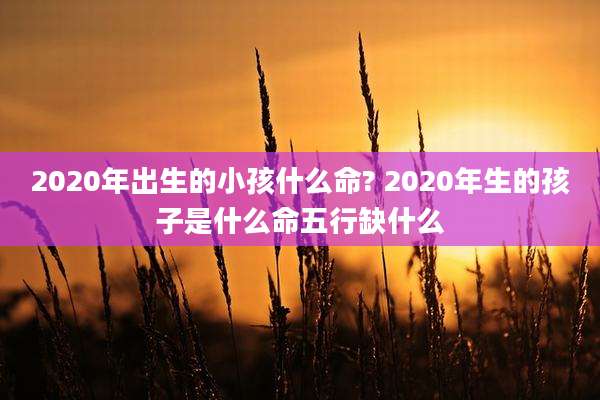 2020年出生的小孩什么命? 2020年生的孩子是什么命五行缺什么