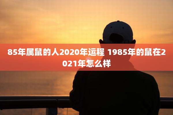 85年属鼠的人2020年运程 1985年的鼠在2021年怎么样