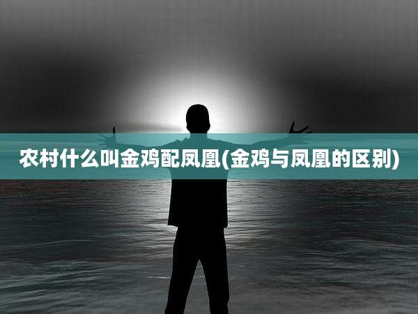 农村什么叫金鸡配凤凰(金鸡与凤凰的区别)