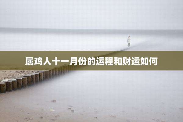 属鸡人十一月份的运程和财运如何