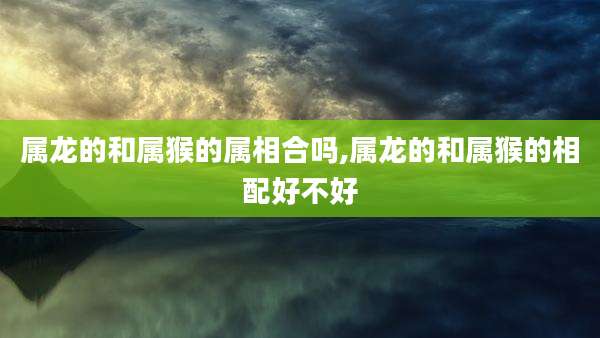 属龙的和属猴的属相合吗,属龙的和属猴的相配好不好