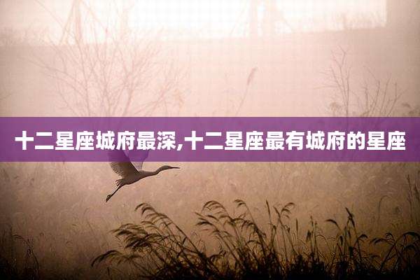 十二星座城府最深,十二星座最有城府的星座