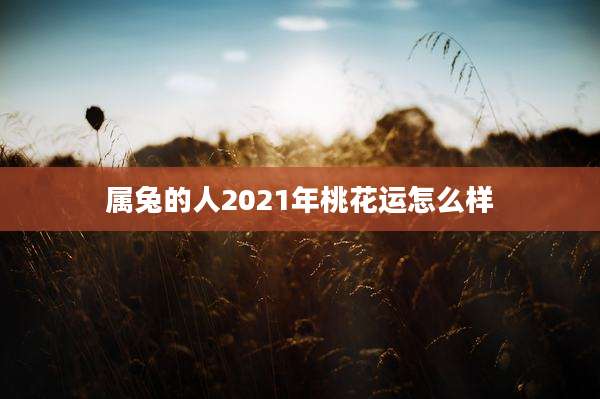 属兔的人2021年桃花运怎么样