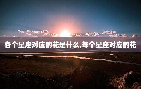 各个星座对应的花是什么,每个星座对应的花