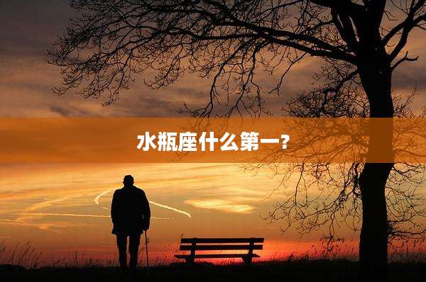 水瓶座什么第一?