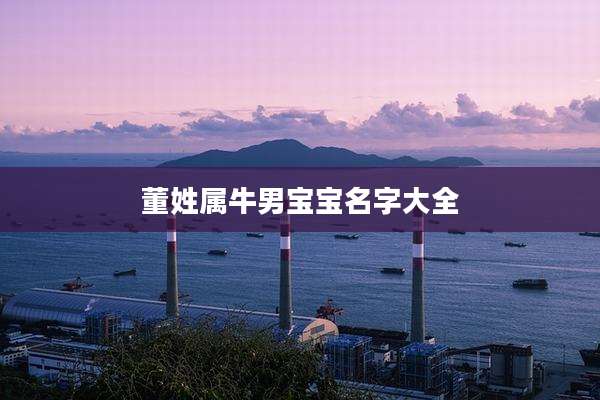 董姓属牛男宝宝名字大全