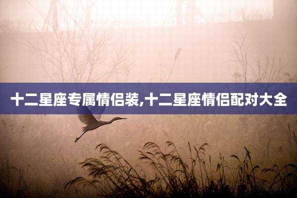 十二星座专属情侣装,十二星座情侣配对大全