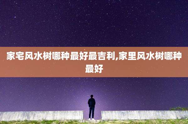 家宅风水树哪种最好最吉利,家里风水树哪种最好