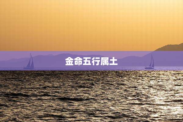 金命五行属土