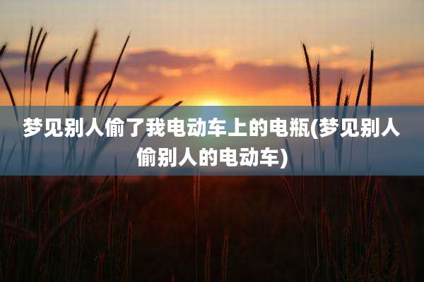 梦见别人偷了我电动车上的电瓶(梦见别人偷别人的电动车)