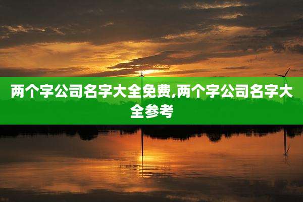 两个字公司名字大全免费,两个字公司名字大全参考