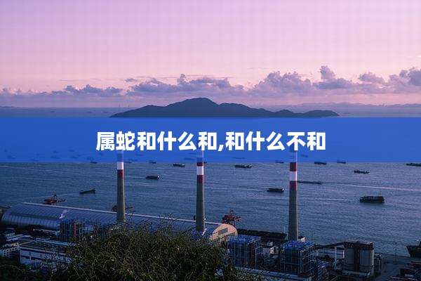 属蛇和什么和,和什么不和