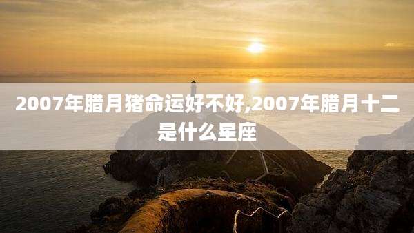 2007年腊月猪命运好不好,2007年腊月十二是什么星座