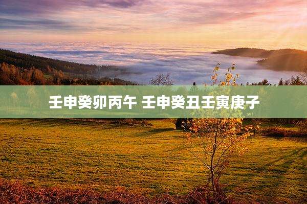 壬申癸卯丙午 壬申癸丑壬寅庚子