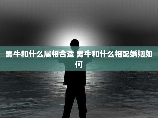男牛和什么属相合适 男牛和什么相配婚姻如何