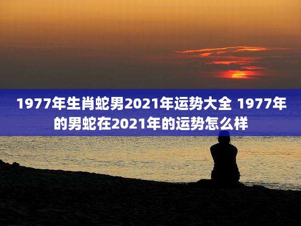 1977年生肖蛇男2021年运势大全 1977年的男蛇在2021年的运势怎么样